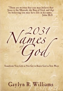 image of the book cover of 2031 Names of God