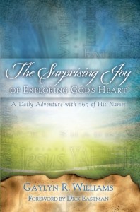 image of the book cover of The Surprising Joy of Exploring God's Heart