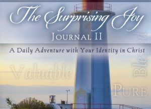image of Joy Devotional Journal 2 by Gaylyn R. Williams