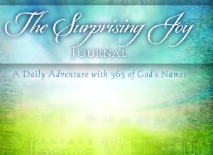 image of Devotional Journal I by Gaylyn R. Williams