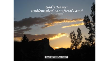 Unblemished, Sacrificial Lamb