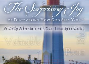 image of The Surprising Joy of Discovering Your Identity in Christ